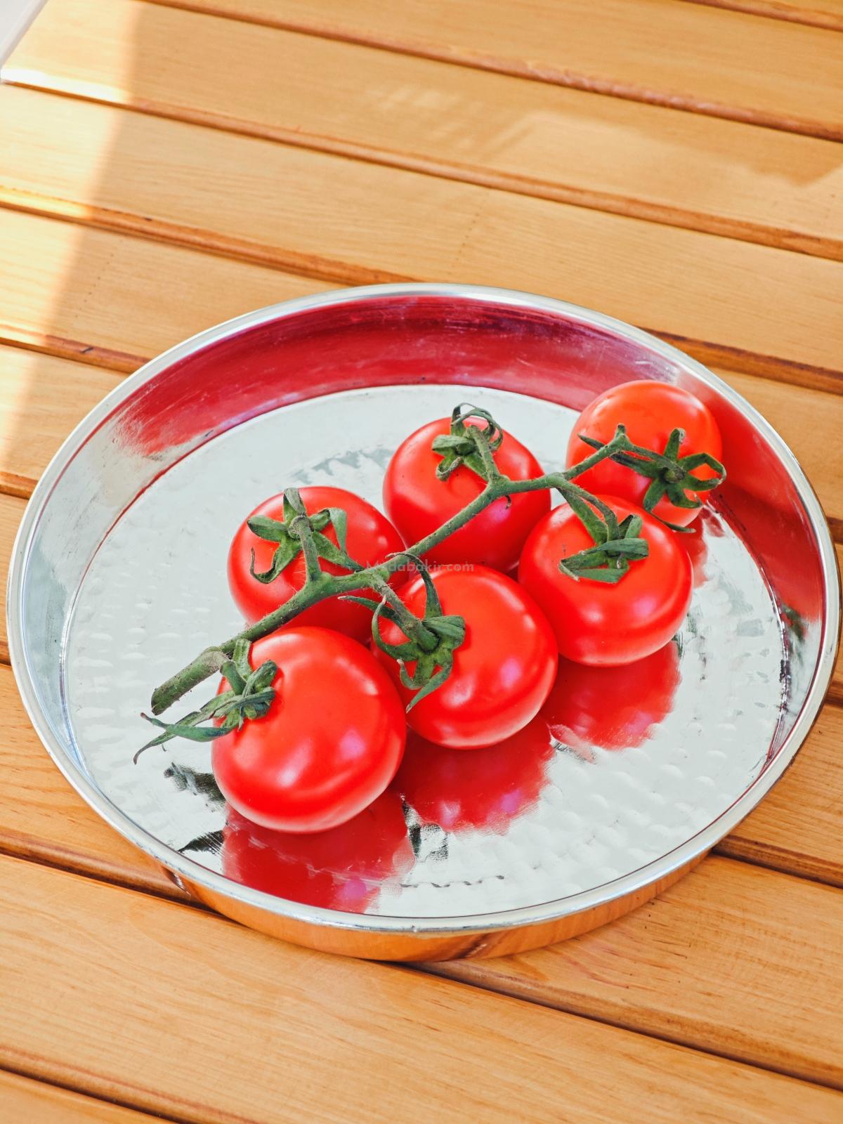 Bakır Fırın Tepsi 24 cm - Görsel 6