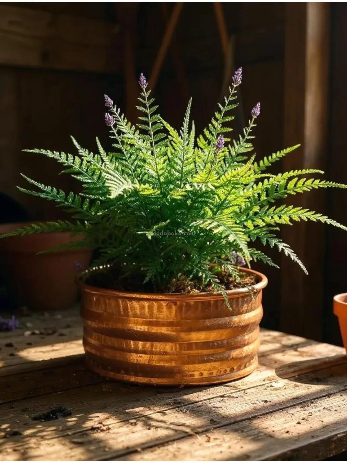 Bakır Saksı - Görsel 2