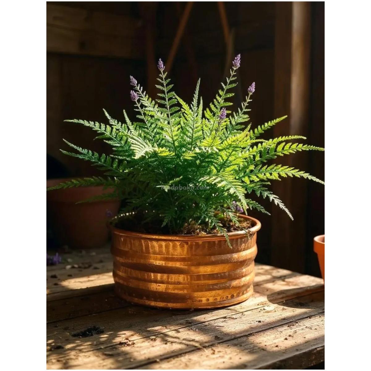 Bakır Saksı - Görsel 2